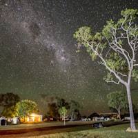 真人荷官发牌场景，专业庄家在赌桌旁准备发牌